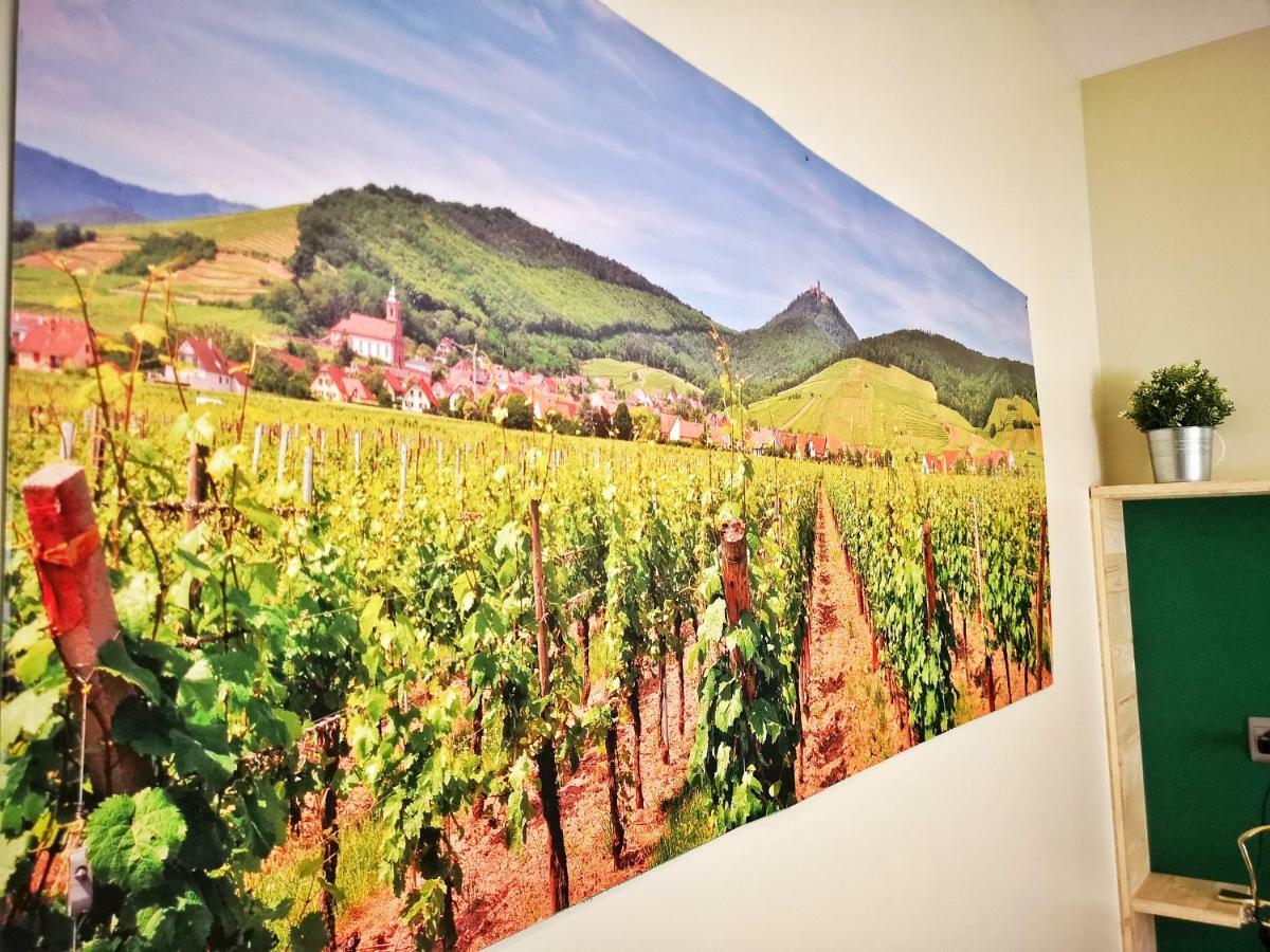 Splendide Studio Centre Colmar Exteriér fotografie